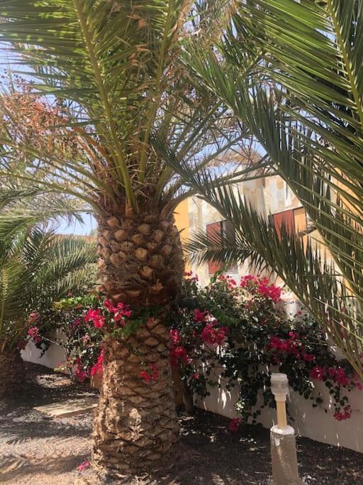 Apartament Cheers On Fuerteventura *